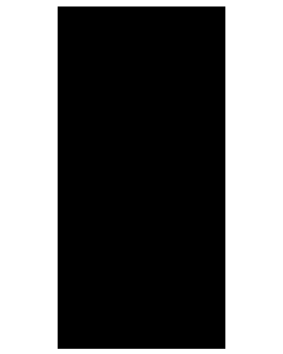 Porcelanato Pure Black High Gloss 60x120