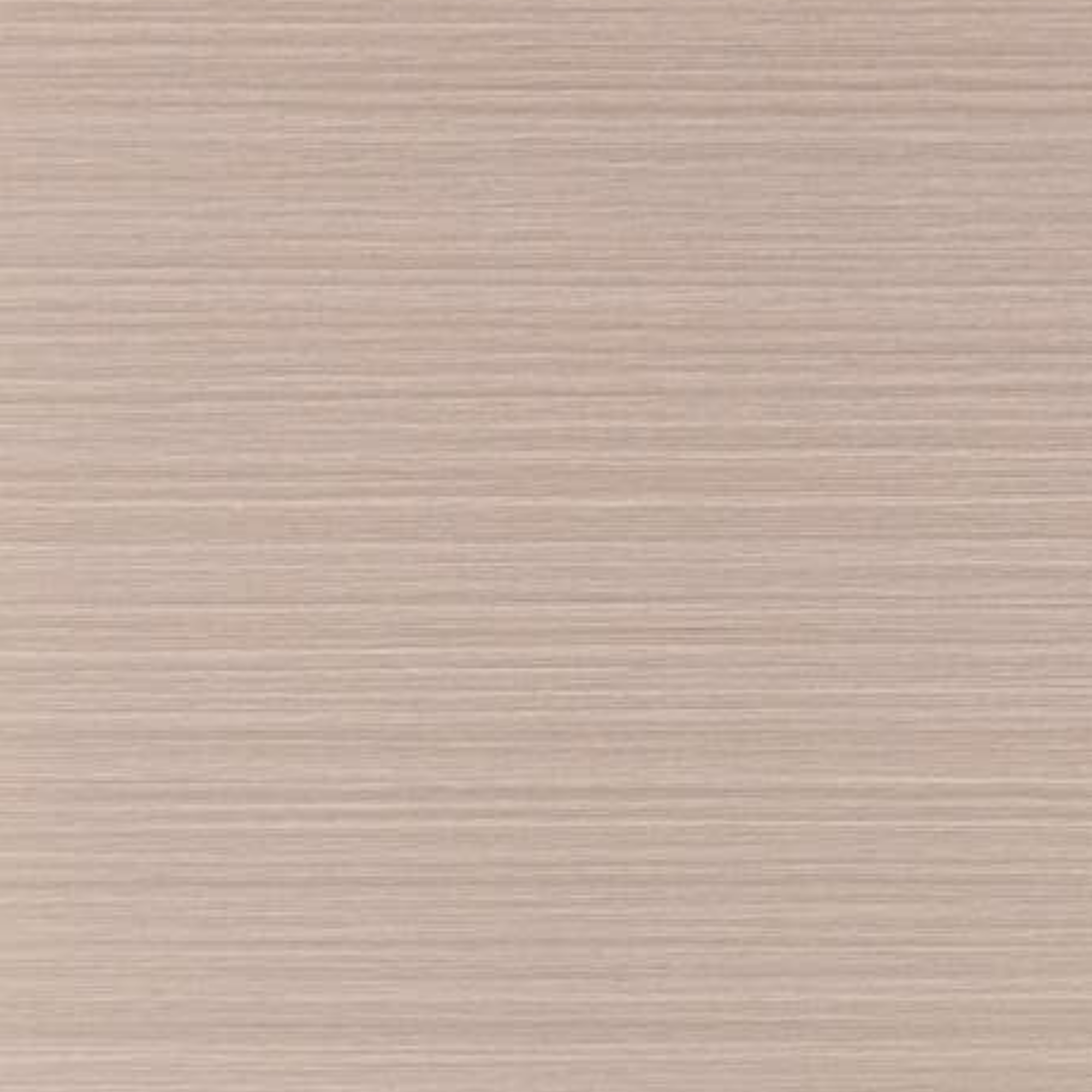 Muro Plafón Madera Claro