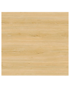 Porcelanato Pori Beige Brillado 60x60