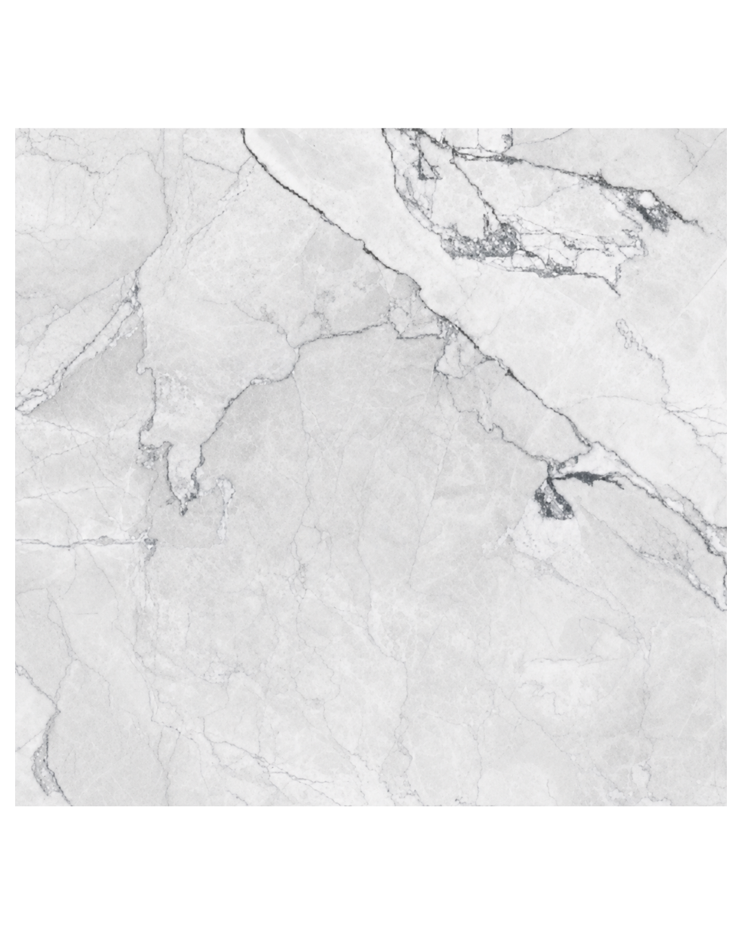 Porcelanato Camus Bianco Mate 60x60