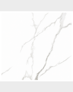 Porcelanato Statuario Blanco Mate 60x60