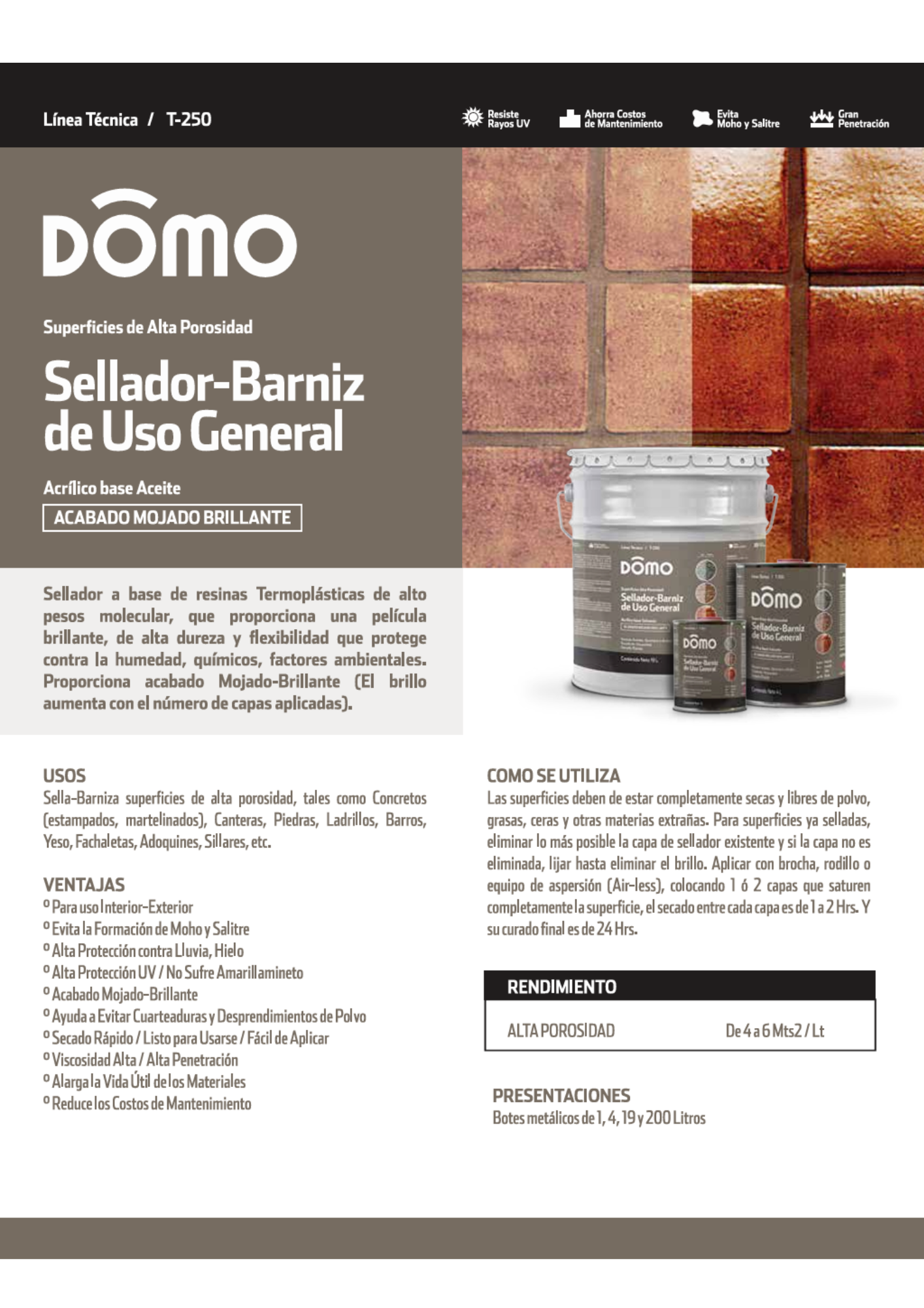 Sellador Domo Barniz de Uso General (Et. Negra)