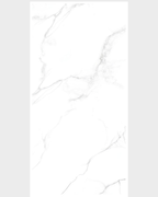 Porcelanato Statuario Elisio Mate 60x120